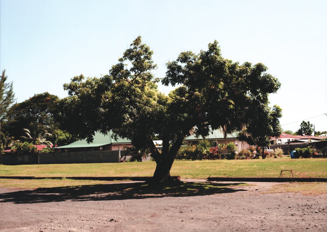 图片[101]-Ayane Suzuki 鈴木絢音 - 1st Photobook The angle of the light 光之角度 (2020-11-10) - 在线免费观看-阅图吧