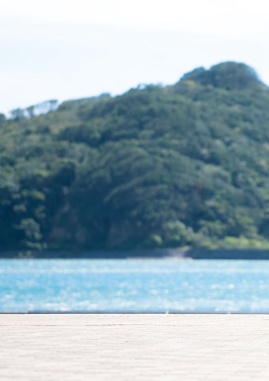 图片[85]-#奈月セナ写真集 玉响 - 全本免费在线观看-阅图吧