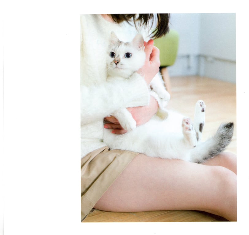 图片[6]-#青山裕企 Photobook 26sets\【青山裕企】猫与大腿 - 全本免费在线观看-阅图吧