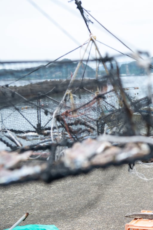 图片[3]-#MAO 滨崎真绪： 【写真集】 - 全本免费在线观看-阅图吧