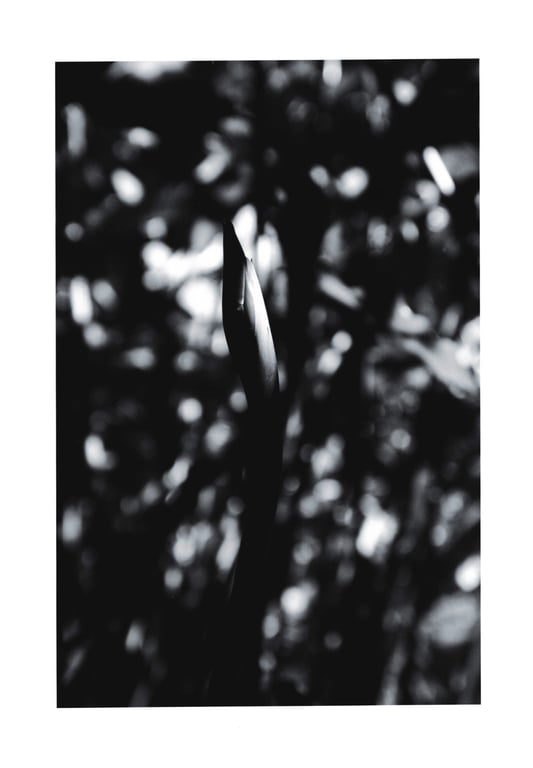 图片[70]-Ayane Suzuki 鈴木絢音 - 1st Photobook The angle of the light 光之角度 (2020-11-10) - 在线免费观看-阅图吧