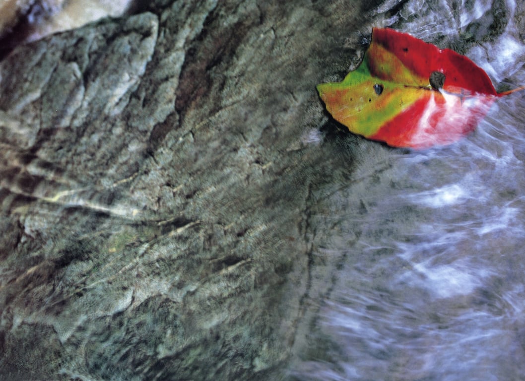 图片[65]-#小島可奈子 – 叶叶 ～KANA KANA～ - 全本免费在线观看-阅图吧