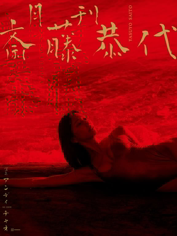 Yasuyo Saito 斋藤恭代 - Monthly 月刊-阅图吧