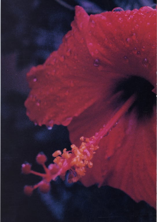 图片[182]-#釈由美子 – CHAOS - 全本免费在线观看-阅图吧