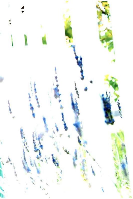 图片[20]-#Sayaka Isoyama 磯山沙也加 – holiday (2017-09-29) - 全本免费在线观看-阅图吧