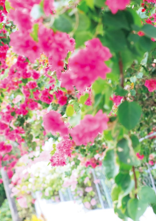 图片[6]-#Kisumi Amau 天羽希纯 – A…？ (2020-04-21) - 全本免费在线观看-阅图吧