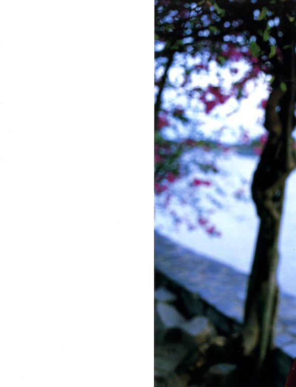 图片[140]-#Satomi Ishihara 石原聪美 – Tayutai 摇曳(20051210) - 全本免费在线观看-阅图吧