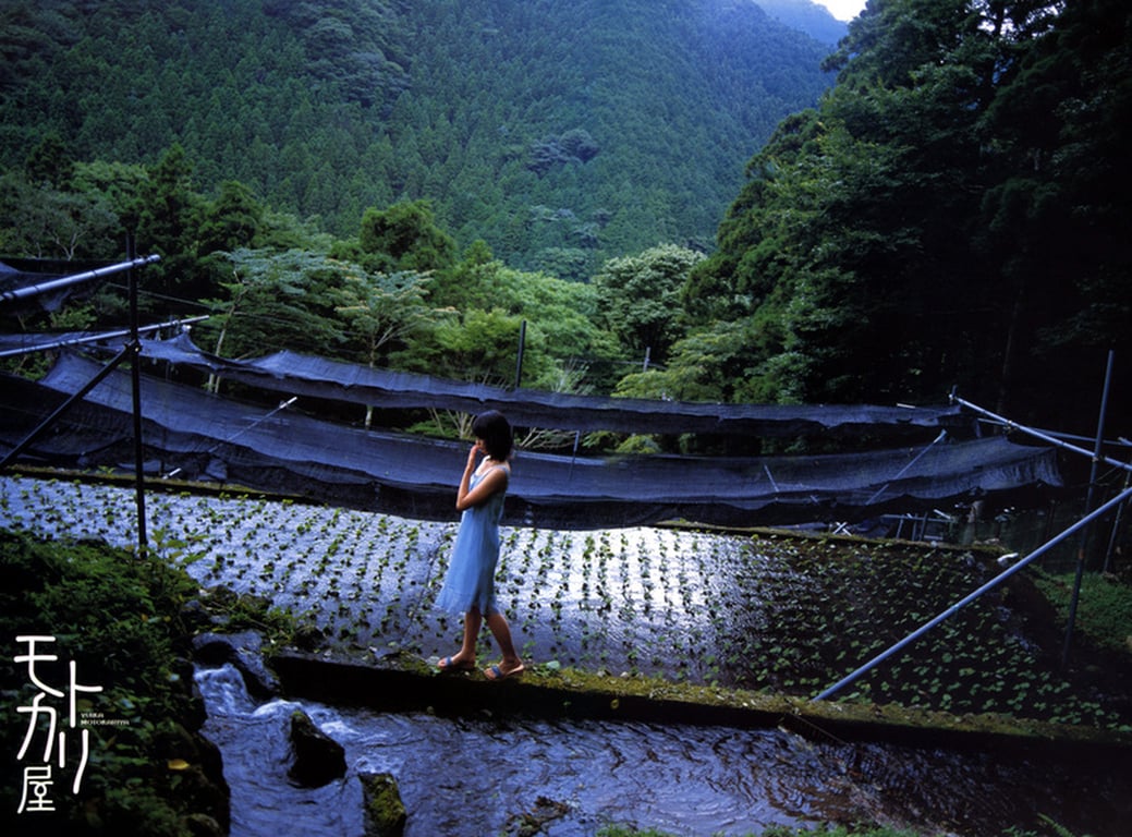 图片[3]-#Yuika Motokariya 本假屋由衣 – Motokariya 本假屋 (2006-11-23) - 全本免费在线观看-阅图吧