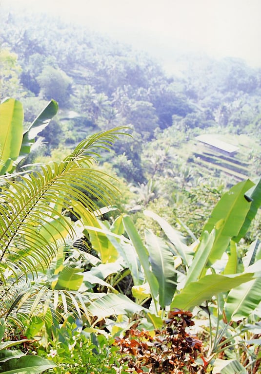 图片[42]-#小倉優子 – 恋心 - 全本免费在线观看-阅图吧