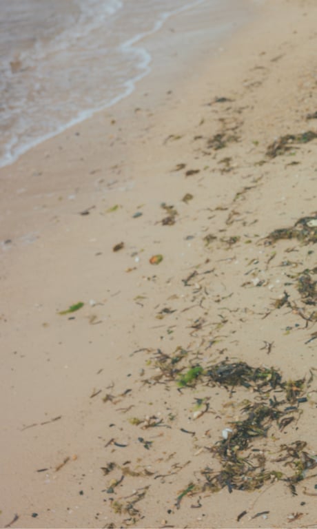 图片[82]-【大増量】田中美久写真集「到你所在的城市」 (週プレ PHOTO BOOK) - 在线免费观看-阅图吧