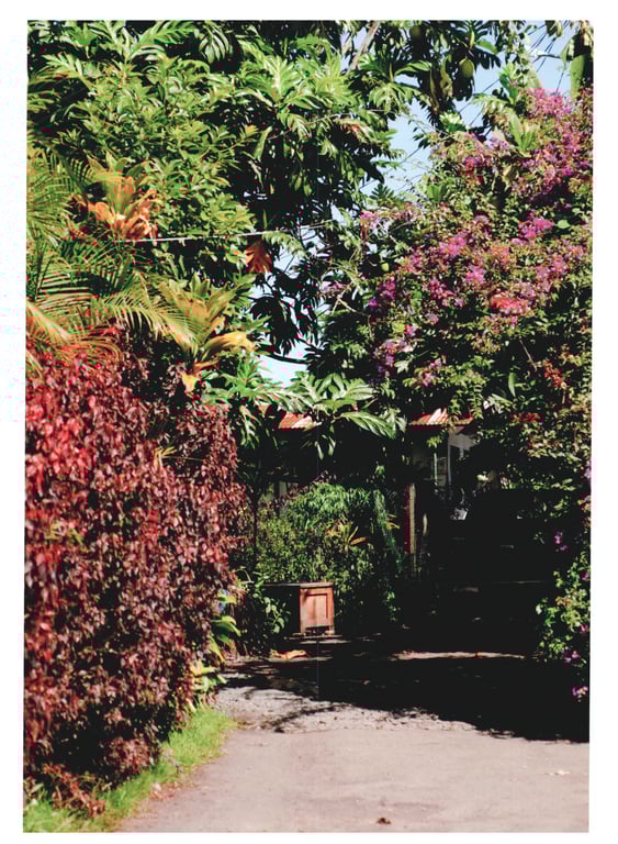 图片[55]-Ayane Suzuki 鈴木絢音 - 1st Photobook The angle of the light 光之角度 (2020-11-10) - 在线免费观看-阅图吧