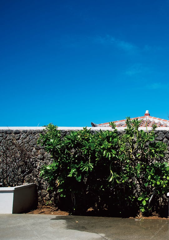 图片[4]-#Momo Sakura 樱空桃写 “Momoiro” (2017.11.17) - 全本免费在线观看-阅图吧