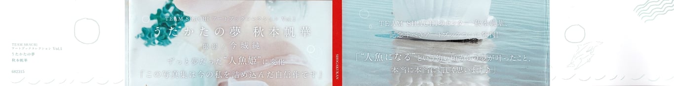 图片[5]-#TEAM SHACHI 艺术书收藏 Vol.1 泡沫之梦 秋本帆华 - 全本免费在线观看-阅图吧