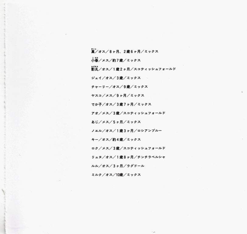 图片[72]-#青山裕企 Photobook 26sets\【青山裕企】猫与大腿 - 全本免费在线观看-阅图吧