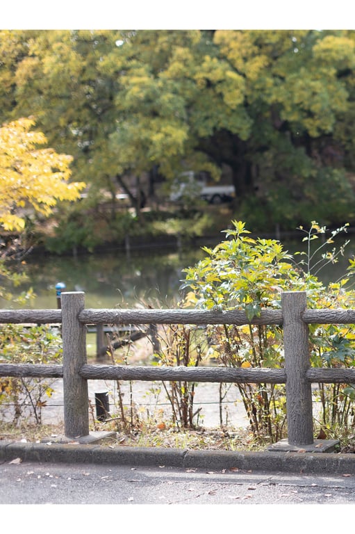 图片[6]-#週刊POST数字写真集 志田音々 大人模样的你如此耀眼 - 全本免费在线观看-阅图吧