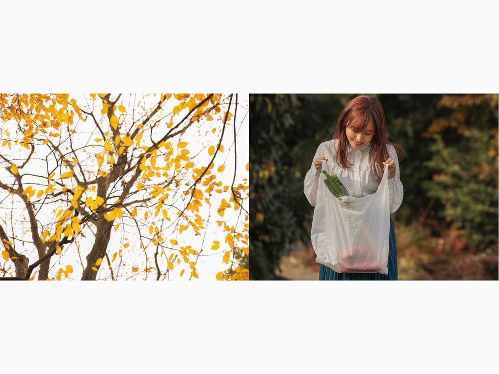 图片[17]-#ひだまりの中で 望月りさ ヌード写真集 - 全本免费在线观看-阅图吧