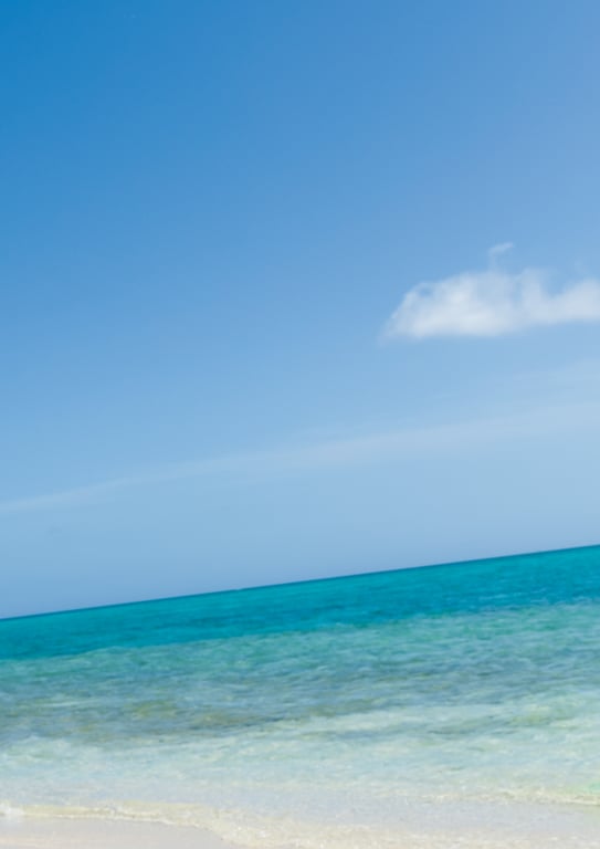 图片[123]-柏木由纪完全版写真集『Time Capsule』 (YJ PHOTO BOOK) - 在线免费观看-阅图吧