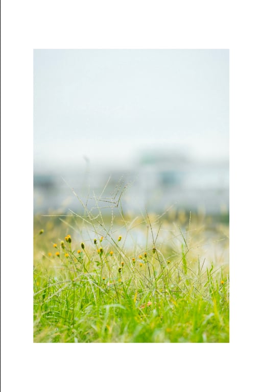 图片[54]-Aoi Mizutani 水谷碧 - Blue sunbeams 蓝色阳光 (2021-12-10) - 在线免费观看-阅图吧