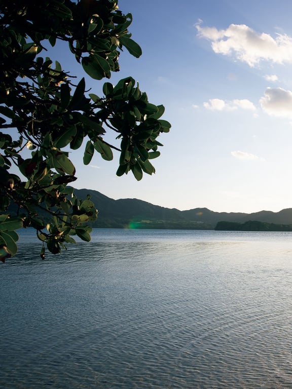 图片[116]-#Miho Machiyama 街山美穗 – Eden (2022-02-25) - 全本免费在线观看-阅图吧