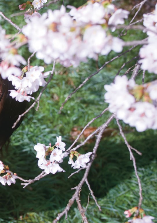 图片[114]-#Yuno Ohara 大原優乃 – Sigh 吐息 (2019-10-11) - 全本免费在线观看-阅图吧