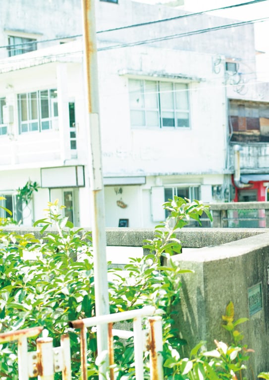 图片[84]-Nagisa Saito 齐藤渚 - Nagisa 渚 (2023-07-13) - 在线免费观看-阅图吧