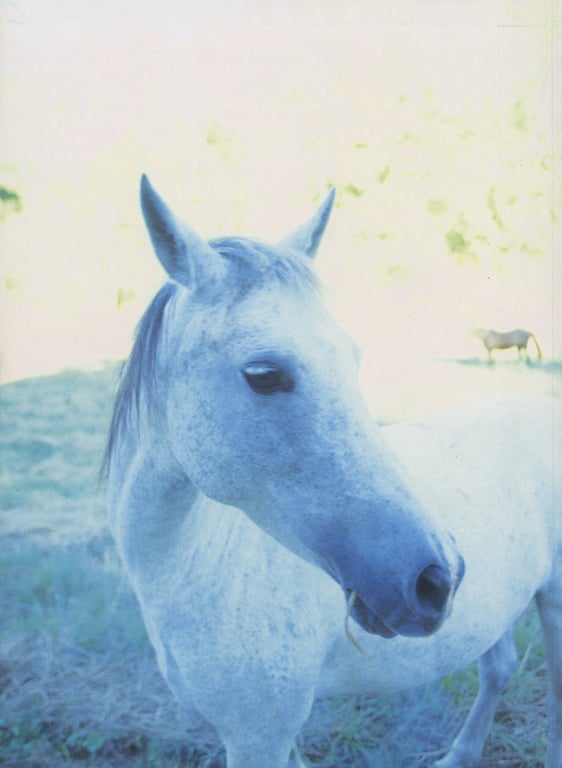 相楽のり子 写真集 on／off-阅图吧