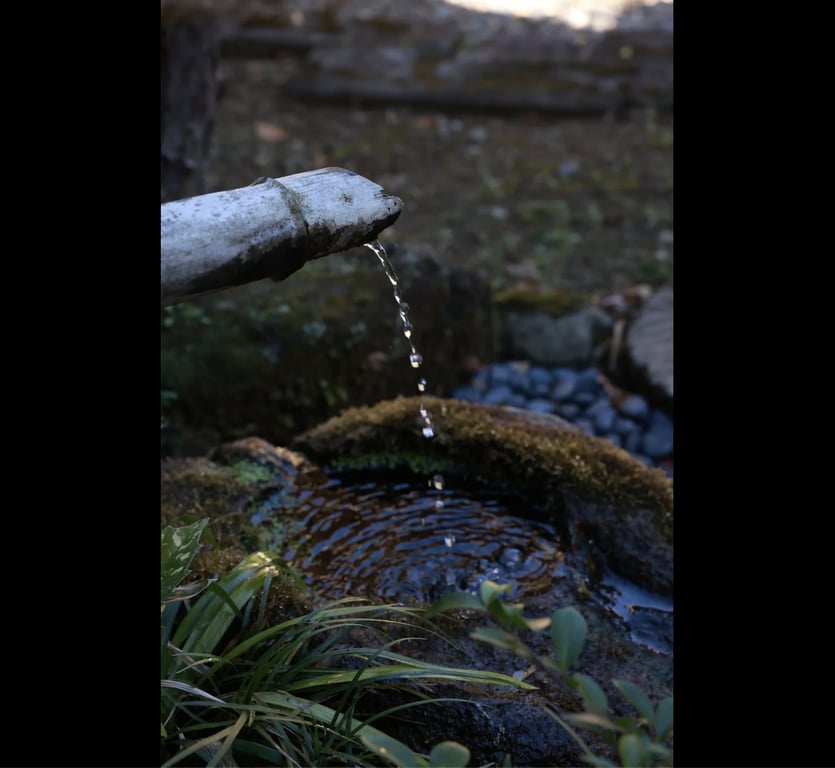 图片[65]-#FRIDAYデジタル写真集 永冈怜子 从那以后 オール未公開スペシャルEdition vol.4 120カット超完全版 - 全本免费在线观看-阅图吧