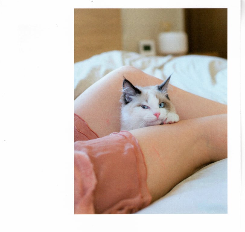 图片[61]-#青山裕企 Photobook 26sets\【青山裕企】猫与大腿 - 全本免费在线观看-阅图吧