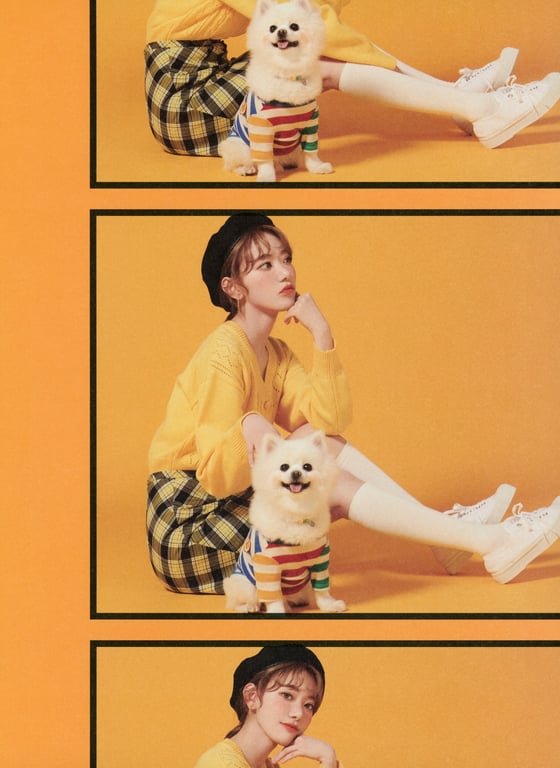 图片[65]-Miyawaki Sakura Graduation Visual Booklet - SAKURA - 在线免费观看-阅图吧