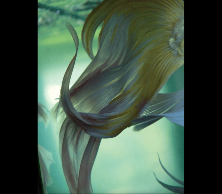 图片[37]-#紗綾 デジタル写真集 紗綾 - 全本免费在线观看-阅图吧