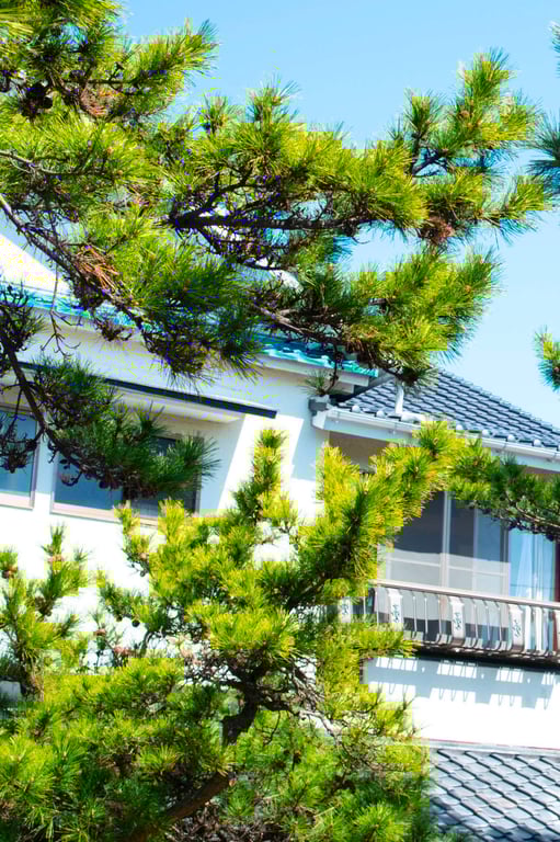 图片[15]-うみに溺れて 及川海【グラビア写真集】 - 在线免费观看-阅图吧