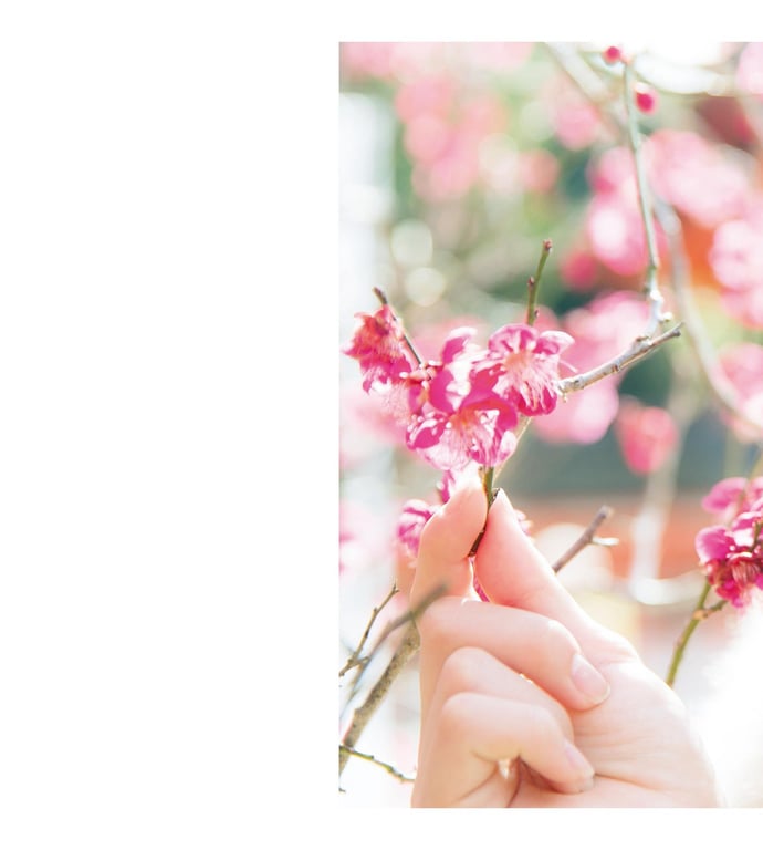 图片[81]-#JUNIOR HIGH SCHOOL DAYS 本田未梦 - 全本免费在线观看-阅图吧