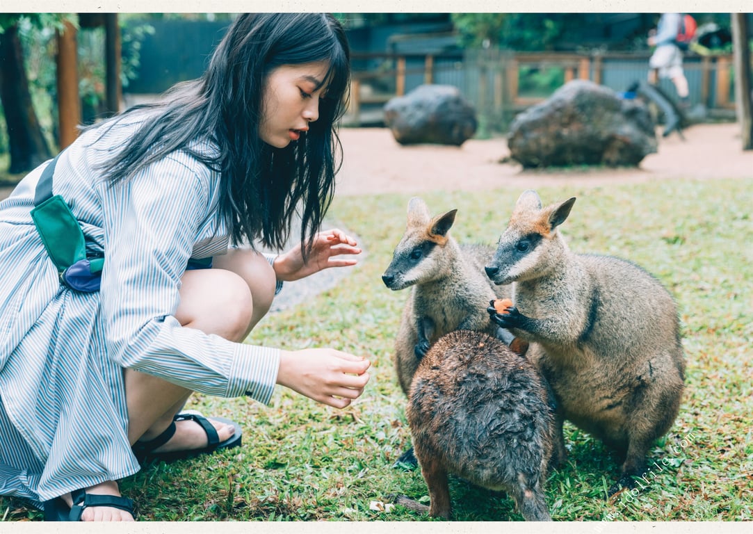 图片[25]-#馬場ふみか 马场巡游 - 全本免费在线观看-阅图吧