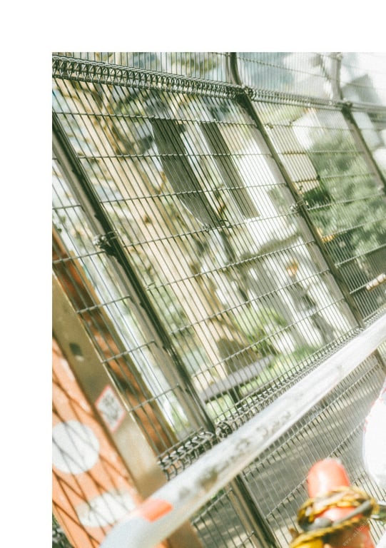 图片[8]-#NEWLOOK【girl meets street】七泽米亚 - 在线免费观看-阅图吧