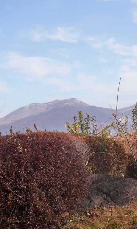 图片[53]-#【数字限定】惠那子写真集「Calendar Girl」 週プレ PHOTO BOOK - 全本免费在线观看-阅图吧