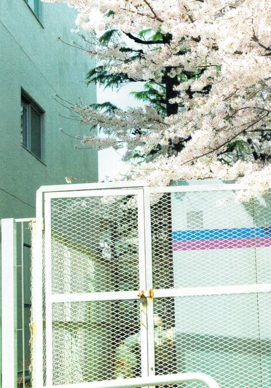 图片[147]-Shiori Kubo 久保史绪里 - 1st Photobook Intersection 交差点 (HQ Scan) - 在线免费观看-阅图吧