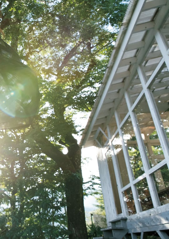 图片[58]-#Miyako Sono 园都 – Hitohira 一片 (2019-12-14) - 全本免费在线观看-阅图吧