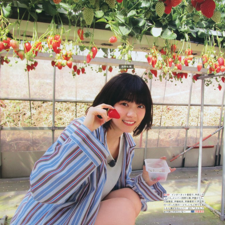 图片[66]-#乃木坂46写真集 乃木拍摄 VOL.01 - 全本免费在线观看-阅图吧