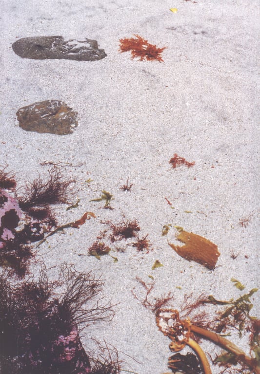 图片[52]-#(月刊シリーズ 060) – 月刊060 伊藤歩 - 全本免费在线观看-阅图吧