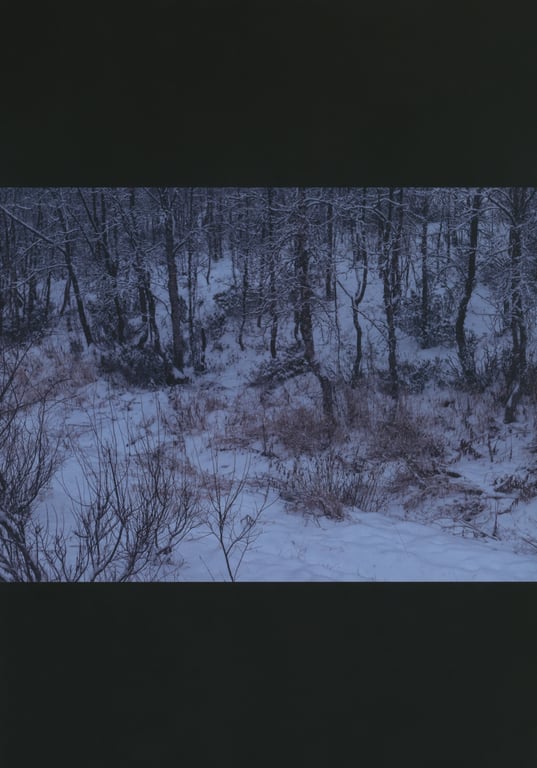 图片[63]-#乃木坂46 北野日奈子 1st写真集『空气的颜色』 - 全本免费在线观看-阅图吧