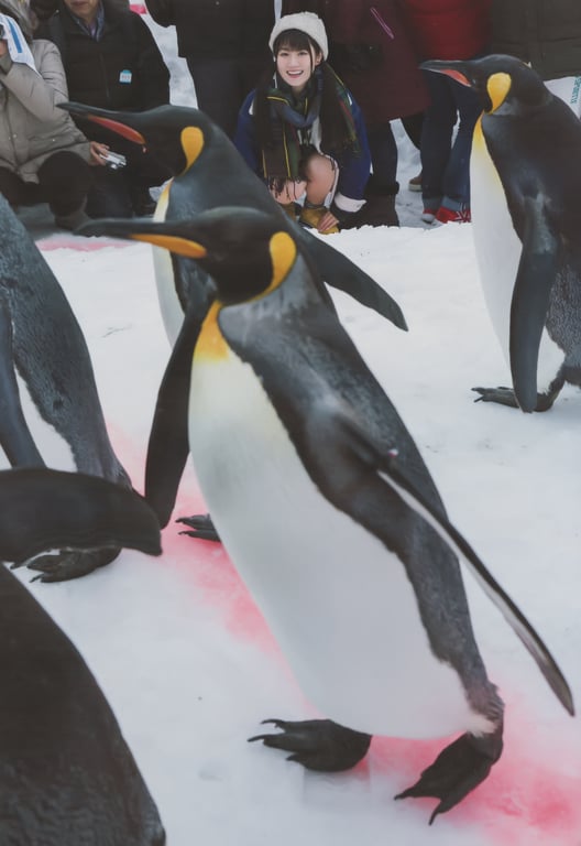 图片[30]-#Yui Ogura 小仓唯 – Yui Peace 唯之步调 (2018-05-25) - 全本免费在线观看-阅图吧