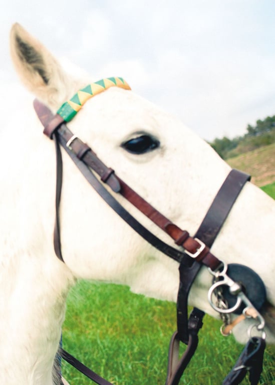 图片[51]-#池田埃莱扎 ファースト写真集 pinturita - 全本免费在线观看-阅图吧