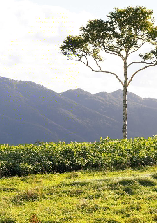 图片[162]-【電子版だけの特典カットつき】山田南実写真集『Departure』 - 在线免费观看-阅图吧