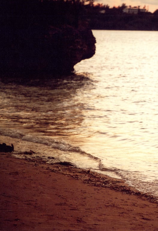 图片[138]-#大谷映美里ファースト写真集 好きな人 - 全本免费在线观看-阅图吧