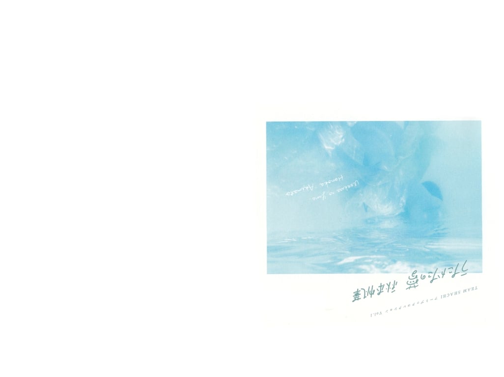 图片[7]-#TEAM SHACHI 艺术书收藏 Vol.1 泡沫之梦 秋本帆华 - 全本免费在线观看-阅图吧