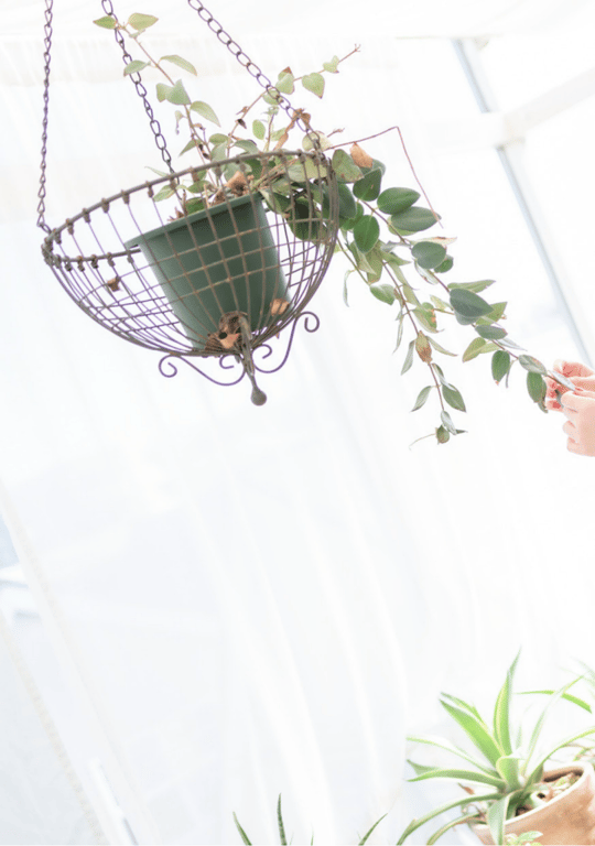 图片[50]-Mia Nanasawa 七沢美亚 - Count sheep Nap - 在线免费观看-阅图吧