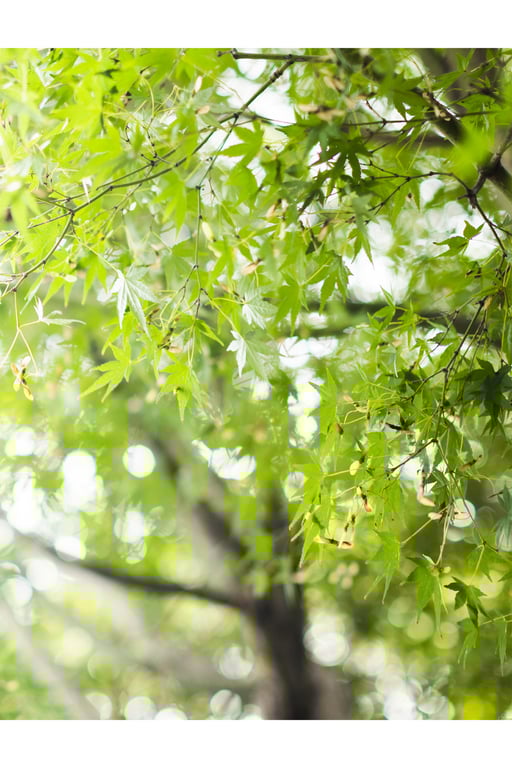 图片[64]-#光りが射す方へ 妃ひかり【ヌード写真集】 - 全本免费在线观看-阅图吧