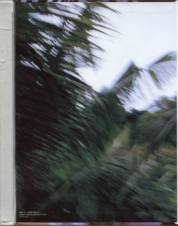 图片[10]-#桜朱音 – 朱音 - 全本免费在线观看-阅图吧