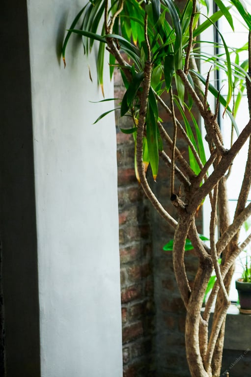 图片[9]-涼森れむ世界一美しいヘアヌード　Ｐｉｎｋ　ｖｅｒ．2022.07.08 涼森れむ　世界一美しいヘアヌード　Ｐｉｎｋ　ｖｅｒ．　ＦＲＩＤＡＹデジタル写真集 - 在线免费观看-阅图吧