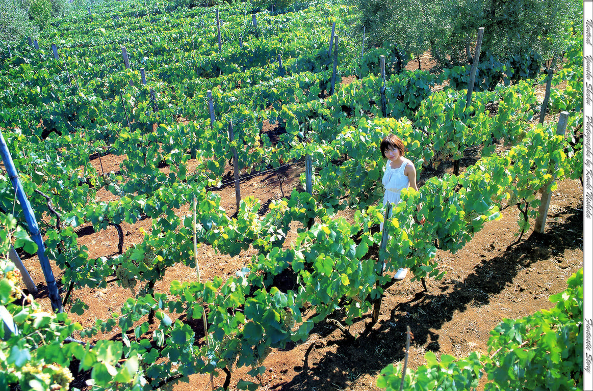 图片[39]-#釈由美子 – Neutral - 全本免费在线观看-阅图吧